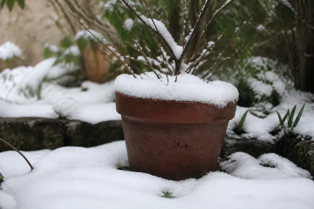 Pot en terre cuite brune sous la neige