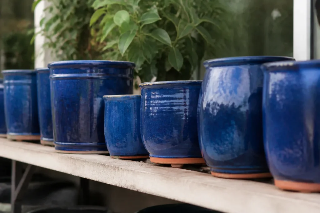 Pots en terre cuite emaillee bleue alignes sur etagere